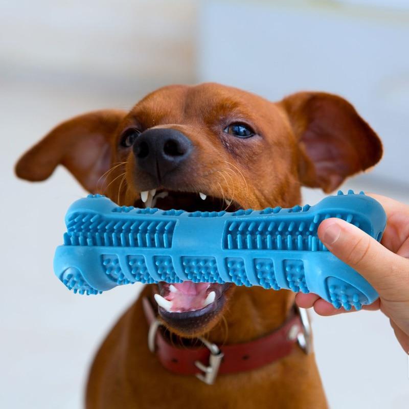 Bone Brush - Dog Dental Toothbrush  Chew Toy